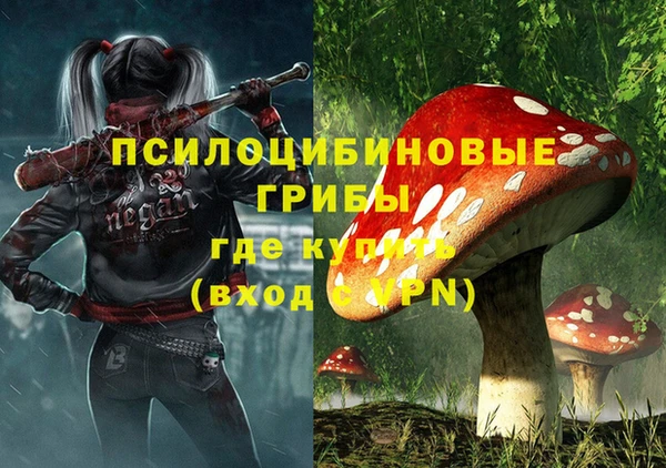 дмт Алзамай