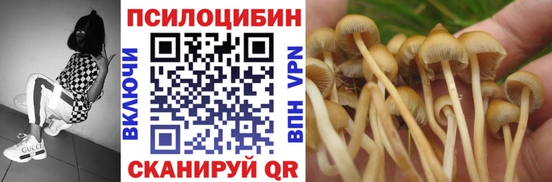 Галлюциногенные грибы Psilocybine cubensis  наркота  Красноармейск 