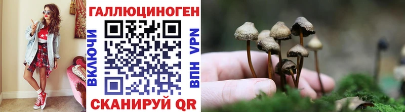 Псилоцибиновые грибы мухоморы Красноармейск